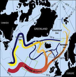 Figure 1. Pathways associated with the transformation of warm subtropical waters into colder subpolar and polar waters in the northern North Atlantic. Along the subpolar gyre pathway the red to yellow transition indicates the cooling to Labrador Sea Water, which flows back to the subtropical gyre in the west as an intermediate depth current (yellow). The green square shows the position of the front in the course of one year.   Credit: ©Jack Cook, Woods Hole OI 